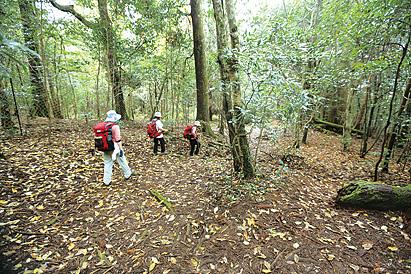 市房山トレッキングセラピー