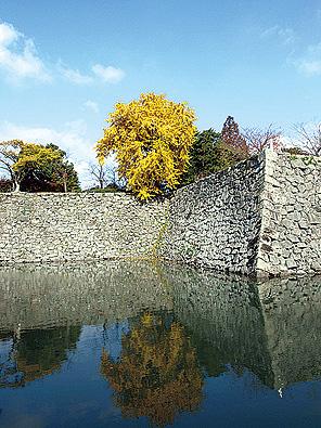  八代城跡