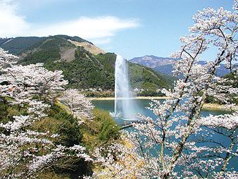 市房ダム湖畔