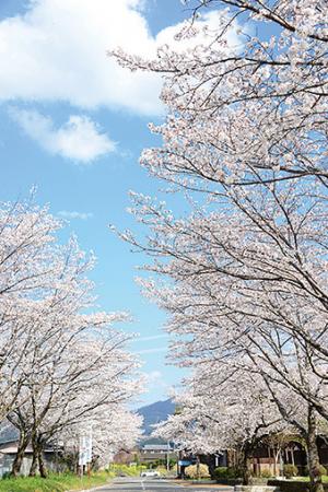 湯前まんが美術館