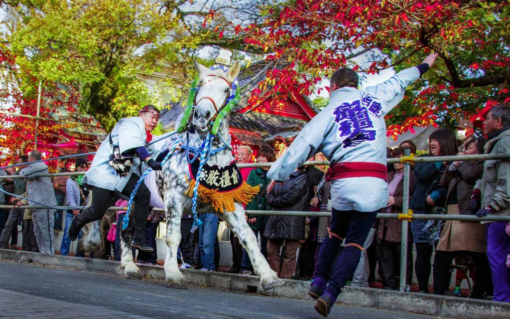 Kazariuma (Decorative Horses)