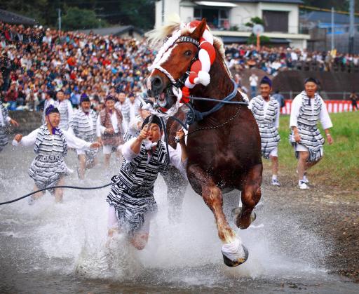 Shinme and Shinme-bugyō (Sacred Horses and Magistrates)